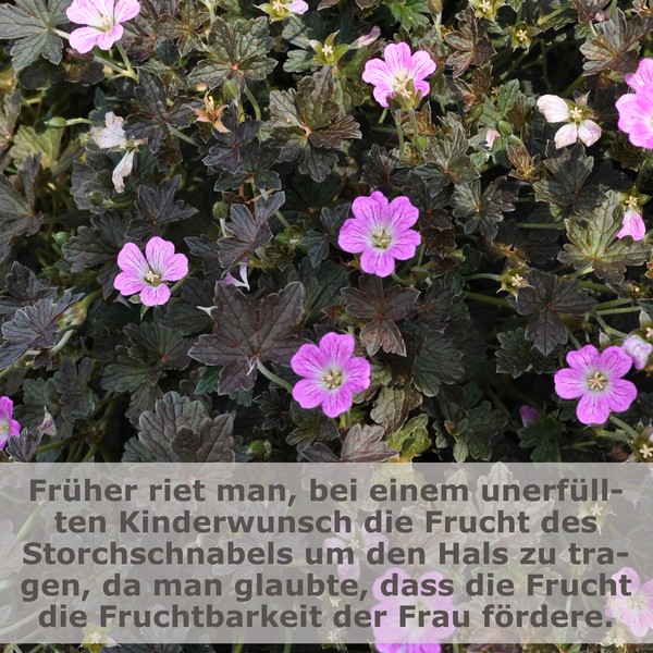 14630