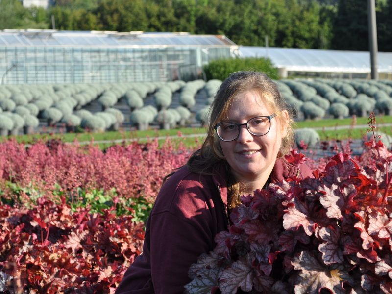 Säntispracht Blumenpracht aus Urkraft Startseite